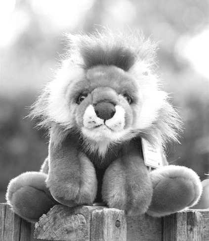 Lanny the Lion